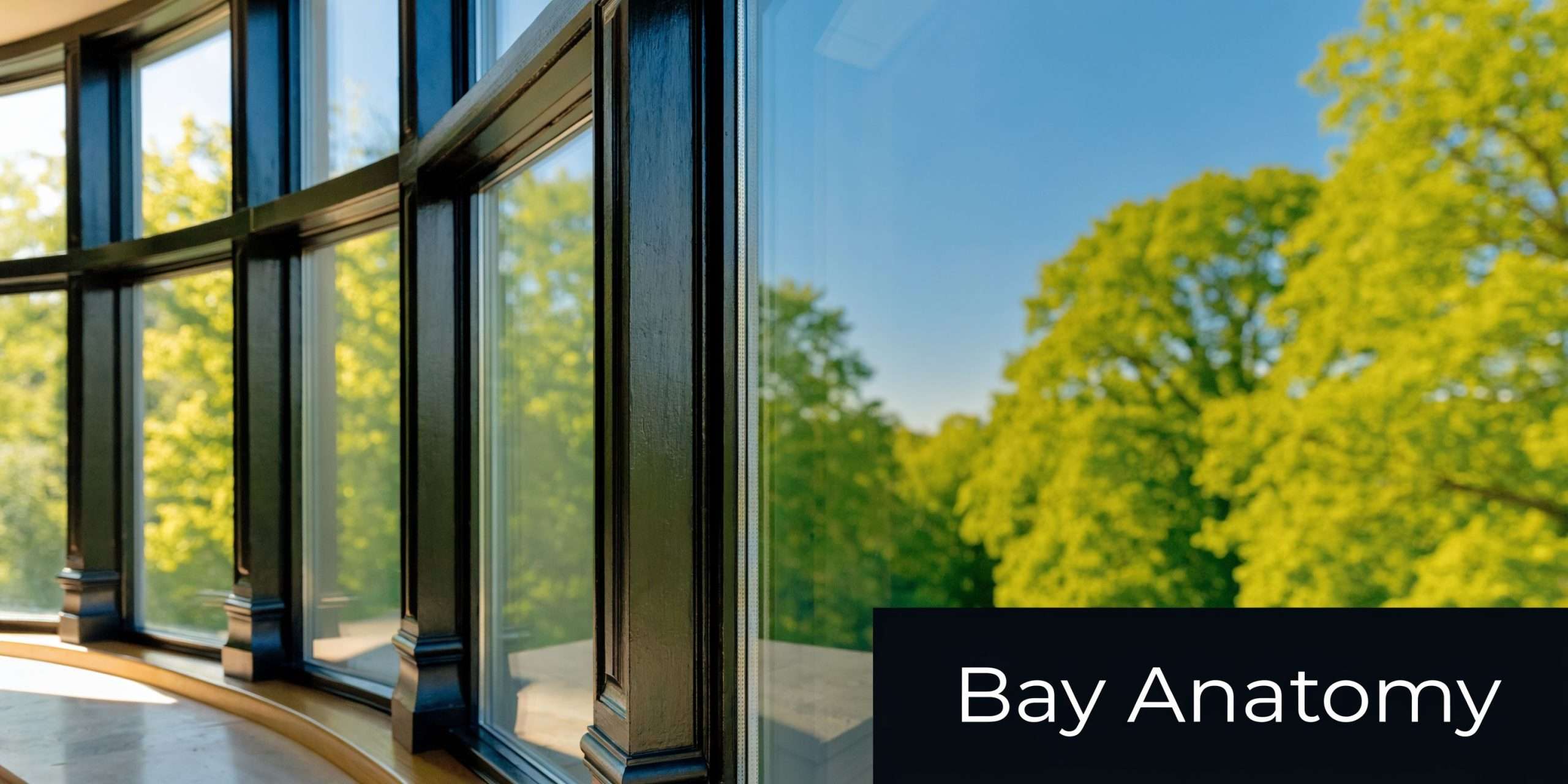 A view through a black-framed curved bay window looking out at bright green trees against a sky.