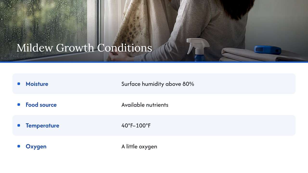 Four conditions that support mildew growth